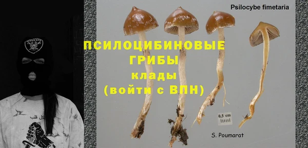 MDMA Premium VHQ Медвежьегорск