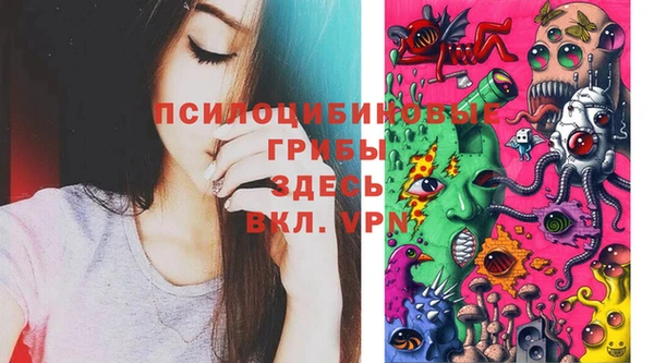 гашиш Магас