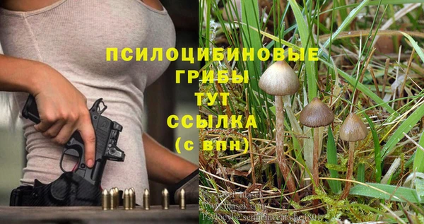 MDMA Premium VHQ Медвежьегорск
