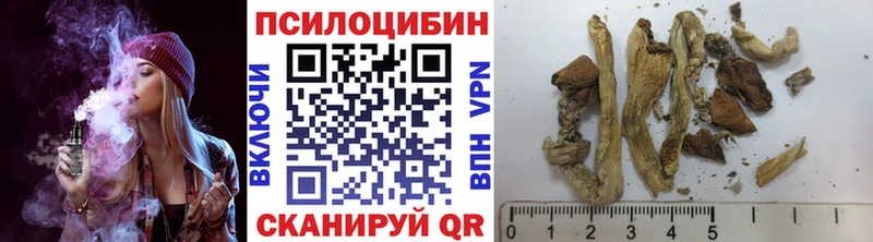 Псилоцибиновые грибы прущие грибы  Урень 